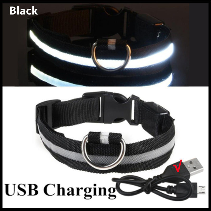 LED Dog Luminous Collar