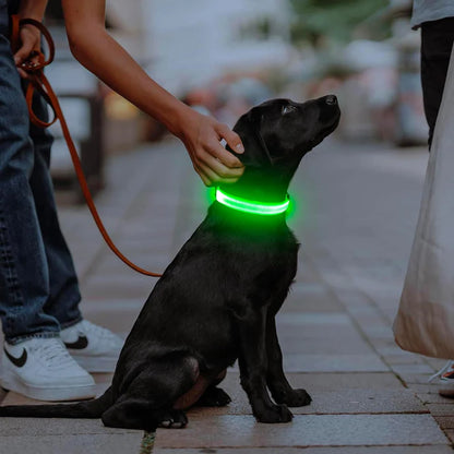 LED Dog Luminous Collar