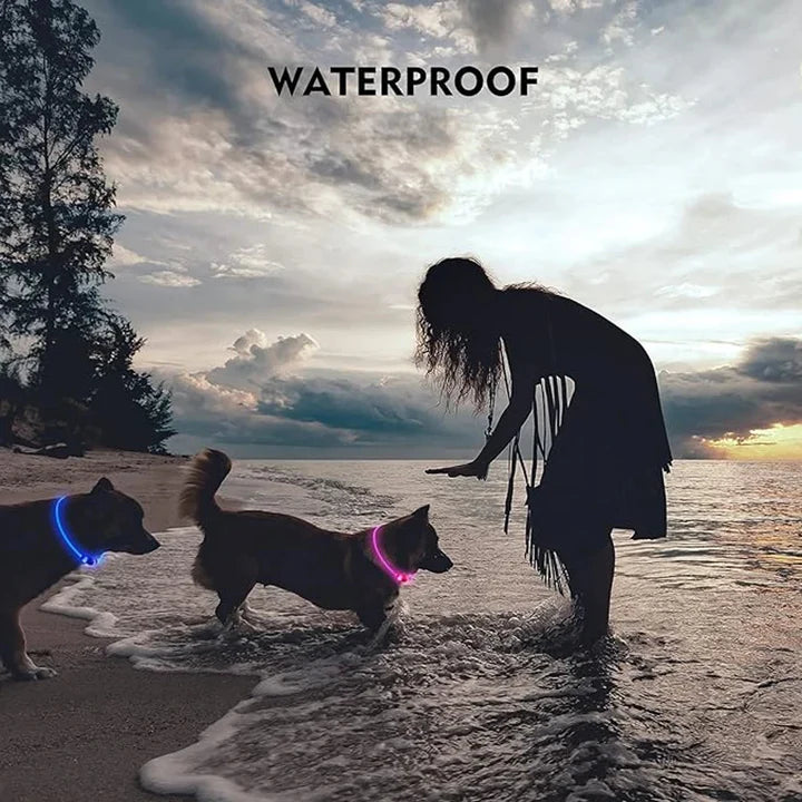 LED Dog Luminous Collar