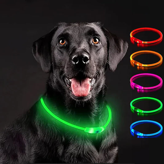 LED Dog Luminous Collar
