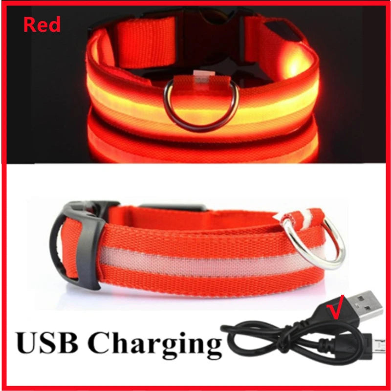 LED Dog Luminous Collar