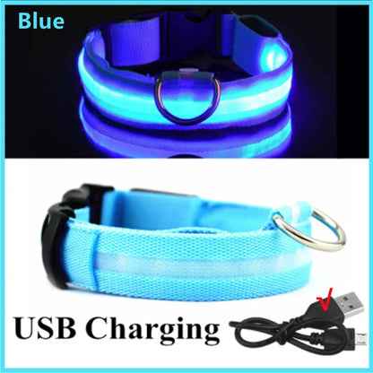 LED Dog Luminous Collar