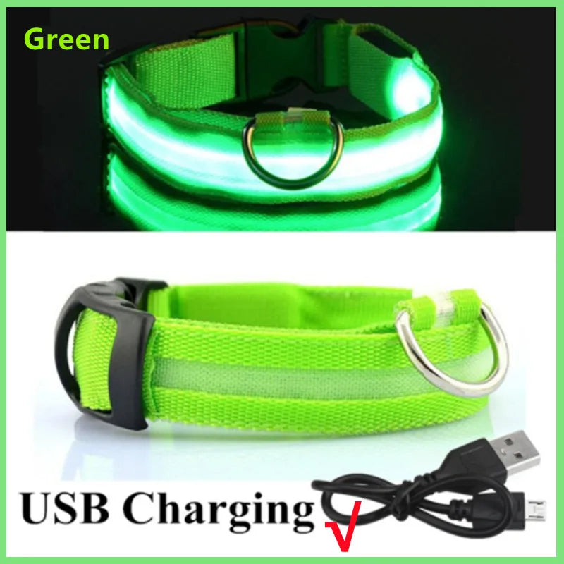 LED Dog Luminous Collar