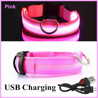 LED Dog Luminous Collar
